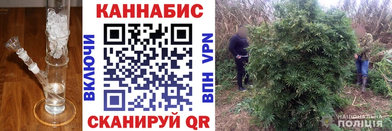 МЕГА   Городище  Марихуана OG Kush 